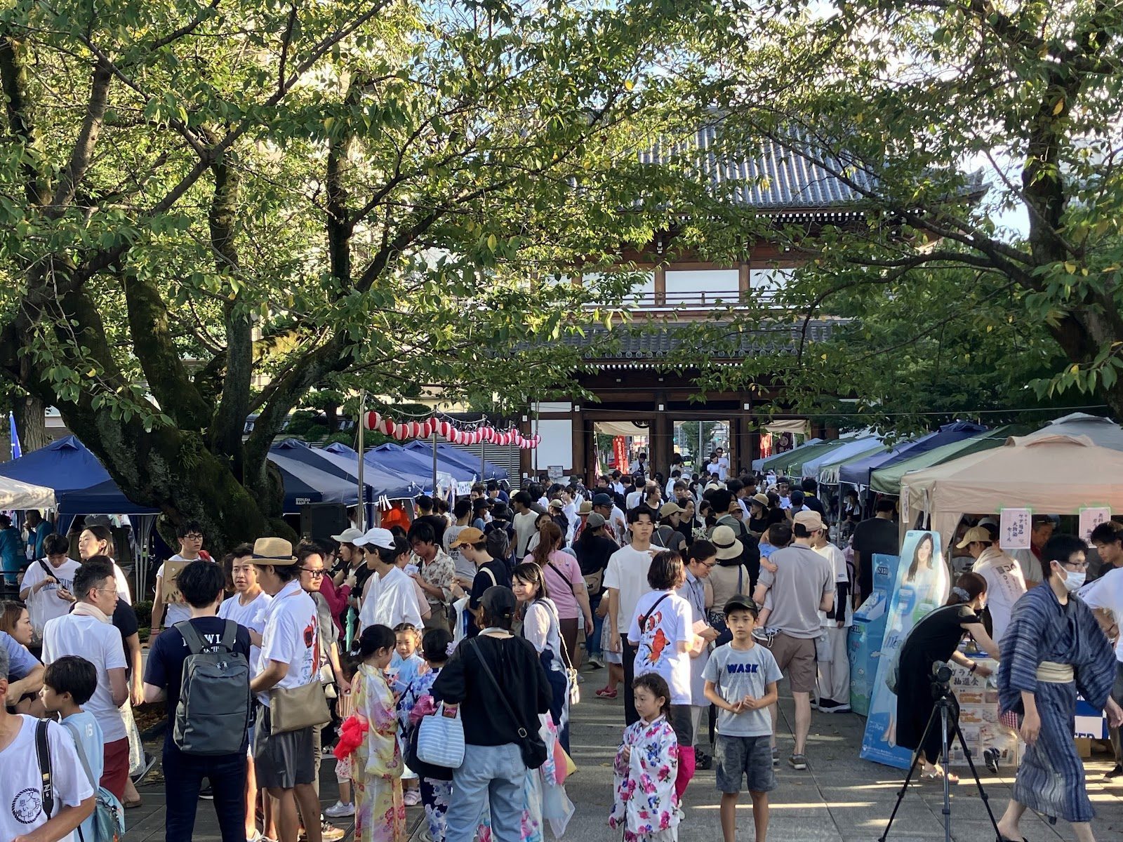文京思い出横丁
